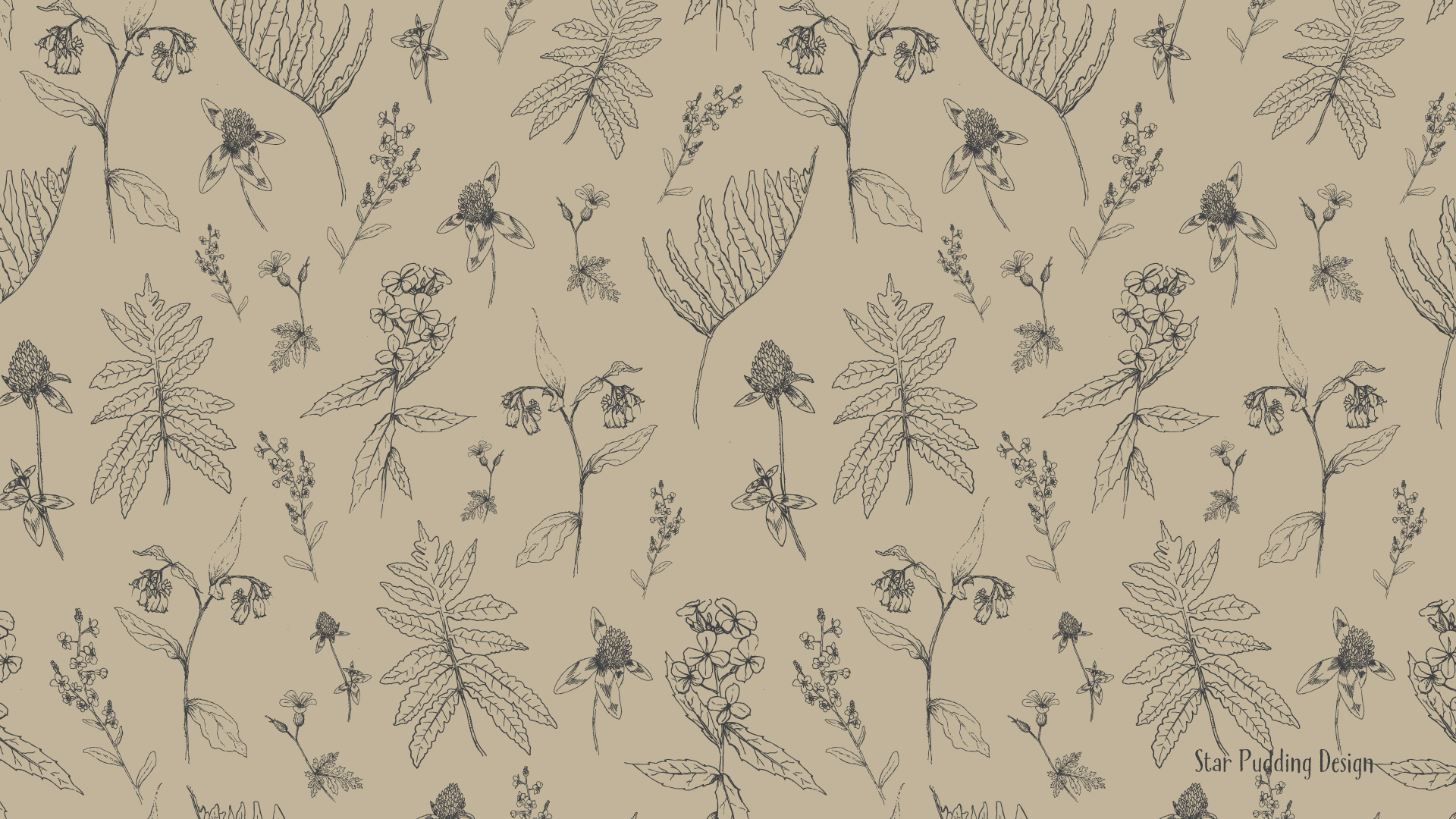 January Digital Wallpaper: Roadside Blooms