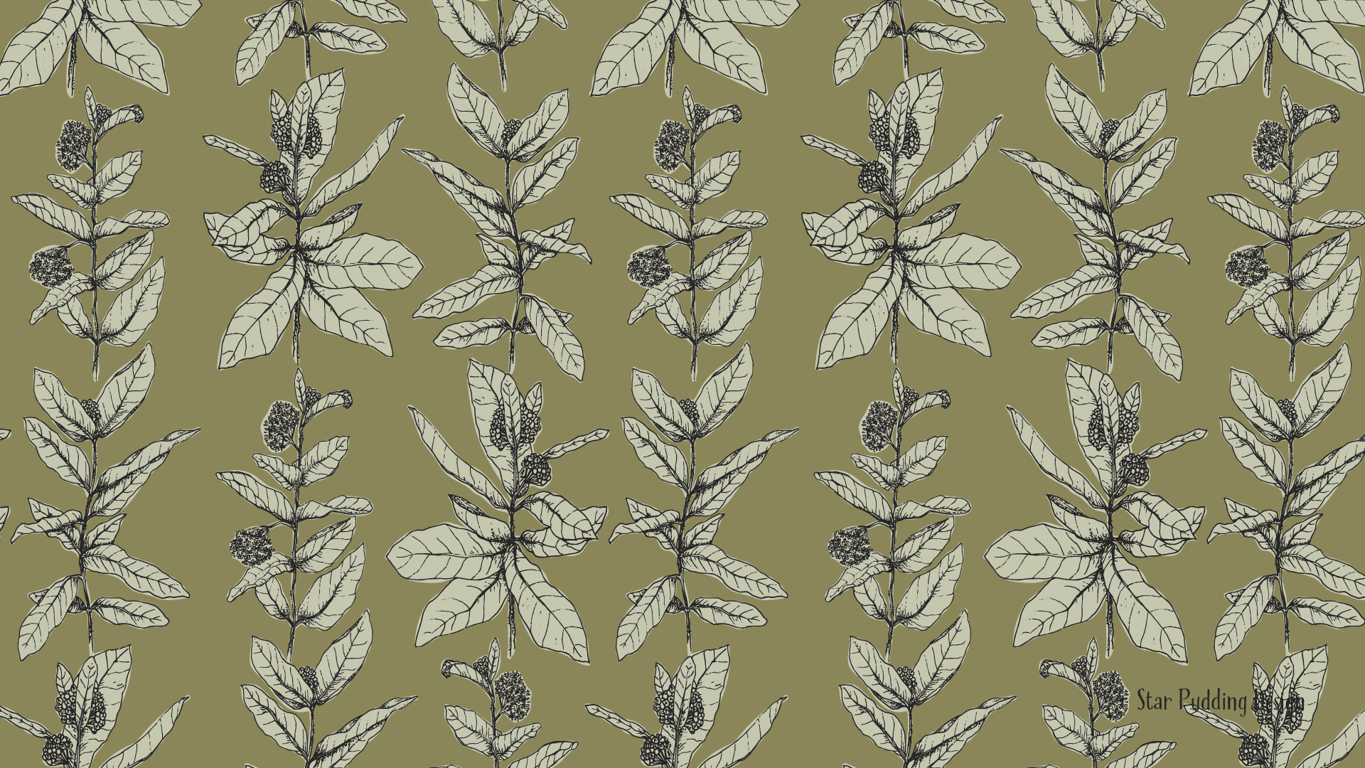May Digital Wallpaper: Milkweed